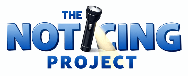 The Noticing Project